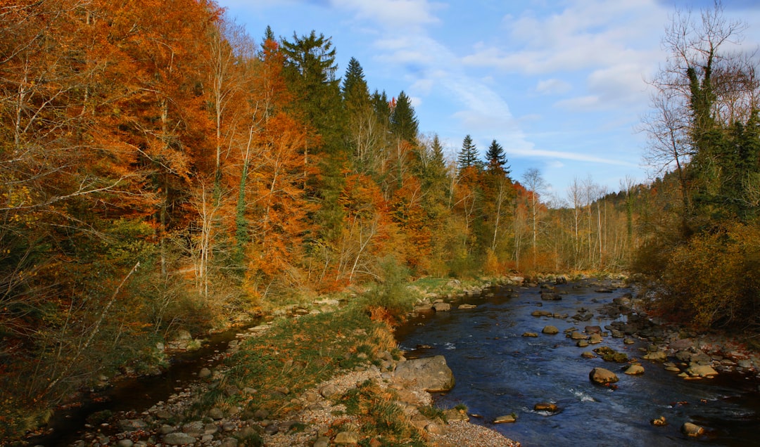 Nature reserve photo spot Hirzel Crestasee