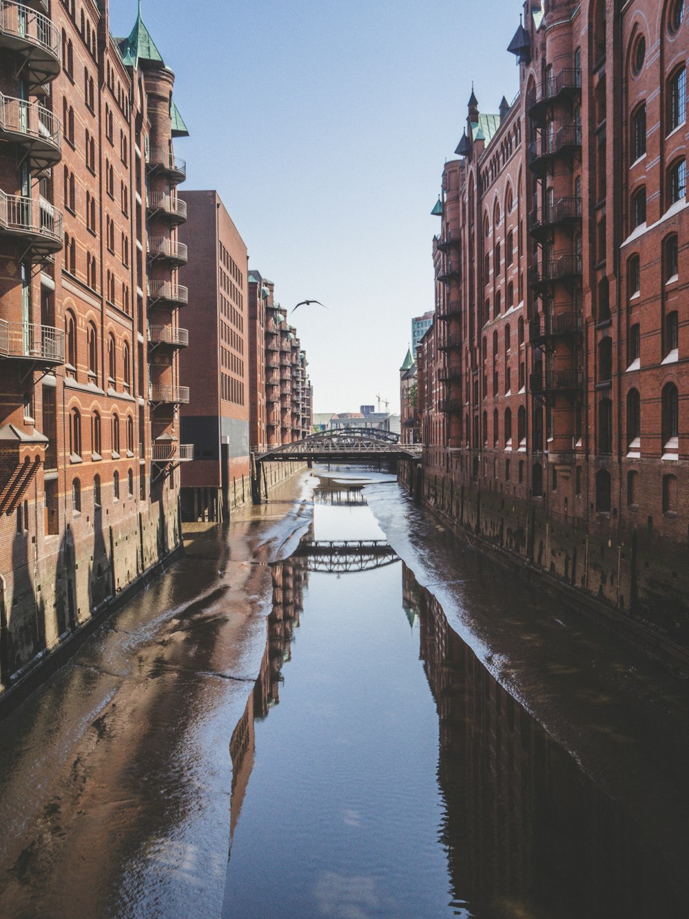 body of water at middle of concrete buildings