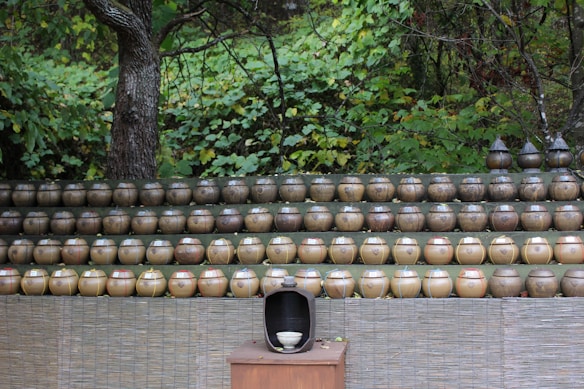 Rows of traditional earthenware pots are neatly arranged on shelves outdoors, with a lush green forest in the background. The pots are uniform in size and shape, creating a sense of order and repetition. A wooden display stands in front, featuring a single open pot with a visible bowl inside.