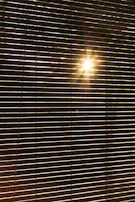 Horizontal blinds partially open with sunlight streaming through, creating a pattern of light and shadow across the blinds.