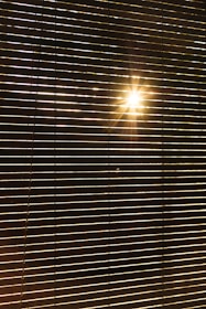 Horizontal blinds partially open with sunlight streaming through, creating a pattern of light and shadow across the blinds.