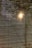 Horizontal blinds partially open with sunlight streaming through, creating a pattern of light and shadow across the blinds.