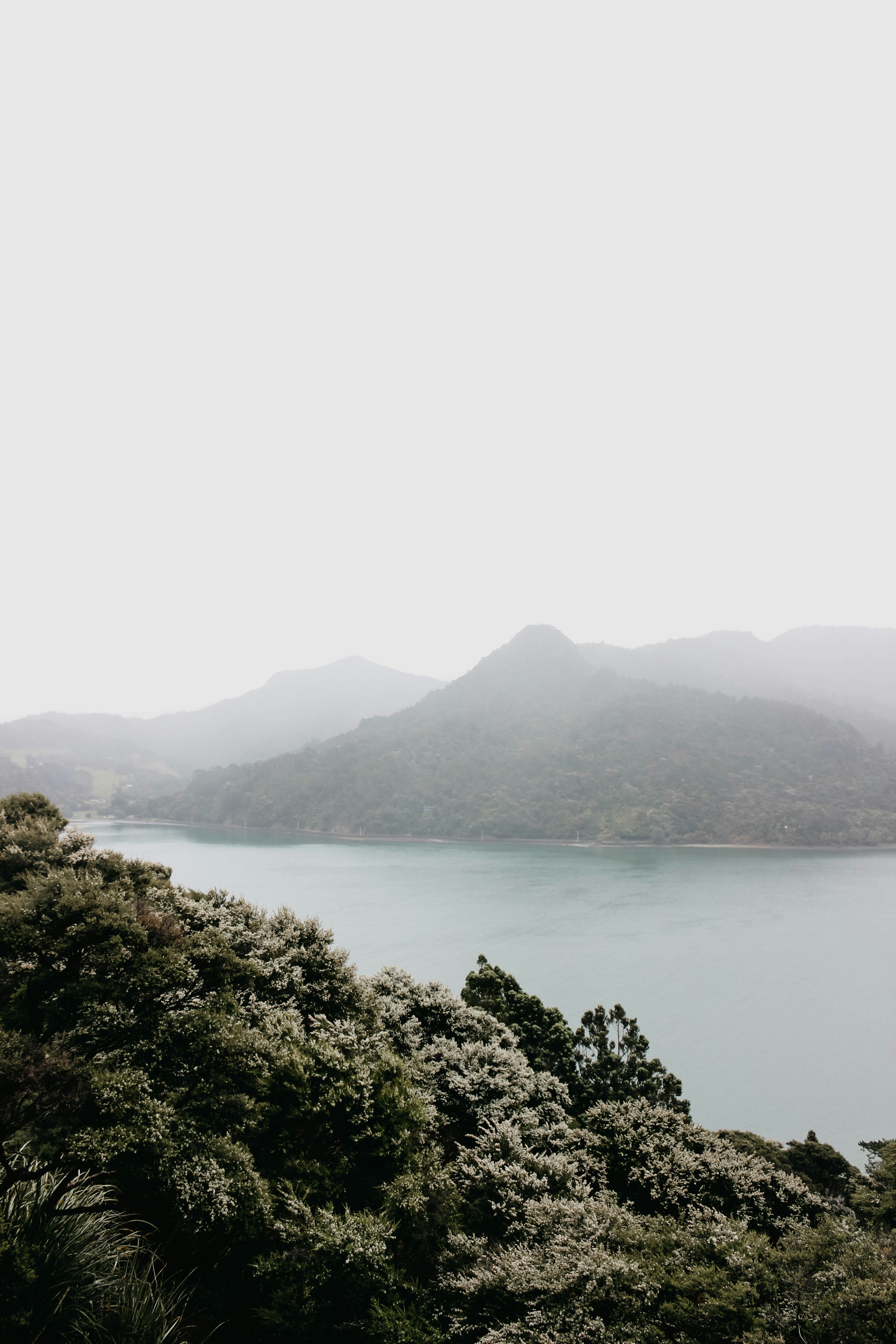 Photo by yourmatecaleb