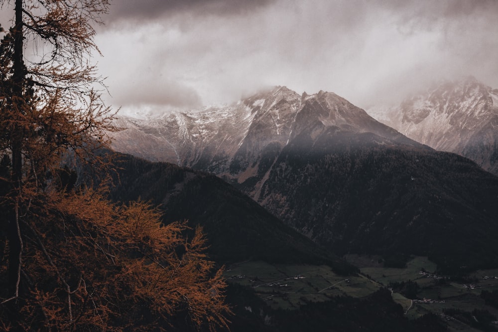 mountains covered with snow