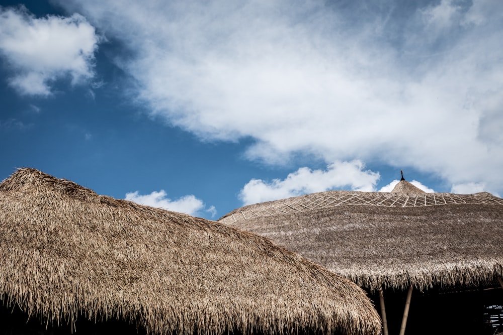 brown native roof