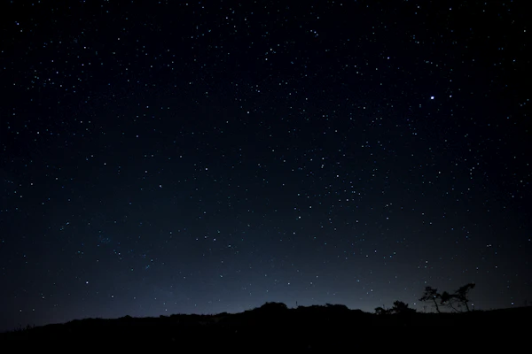 星々が降るような満天の夜空