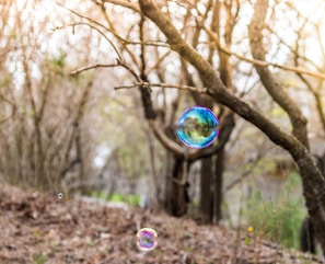 A serene outdoor scene with soft floating bubbles drifting over lush greenery.
