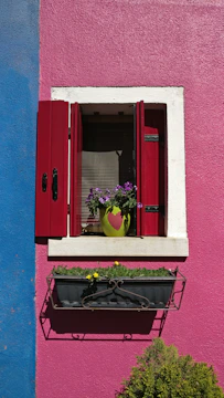 A vibrant exterior wall painted with weather-resistant paint in bright colors