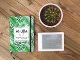 A beginner's Spanish textbook alongside a notebook.