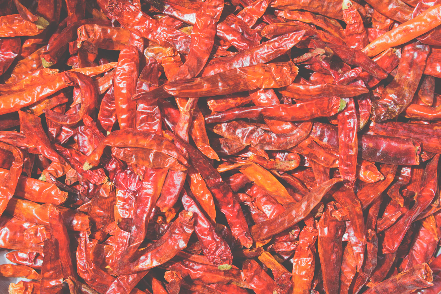 A full-frame pile of small, glossy dried red chiles