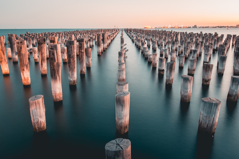 Holzscheite türmten sich im Wasser