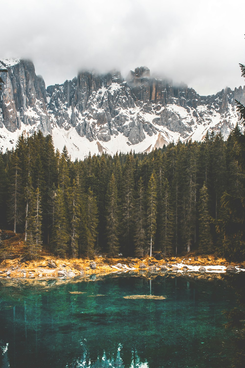 body of water near pine trees with snow-capped mountain at distance