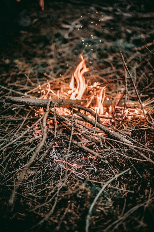 burning twigs photo in Burkat Poland
