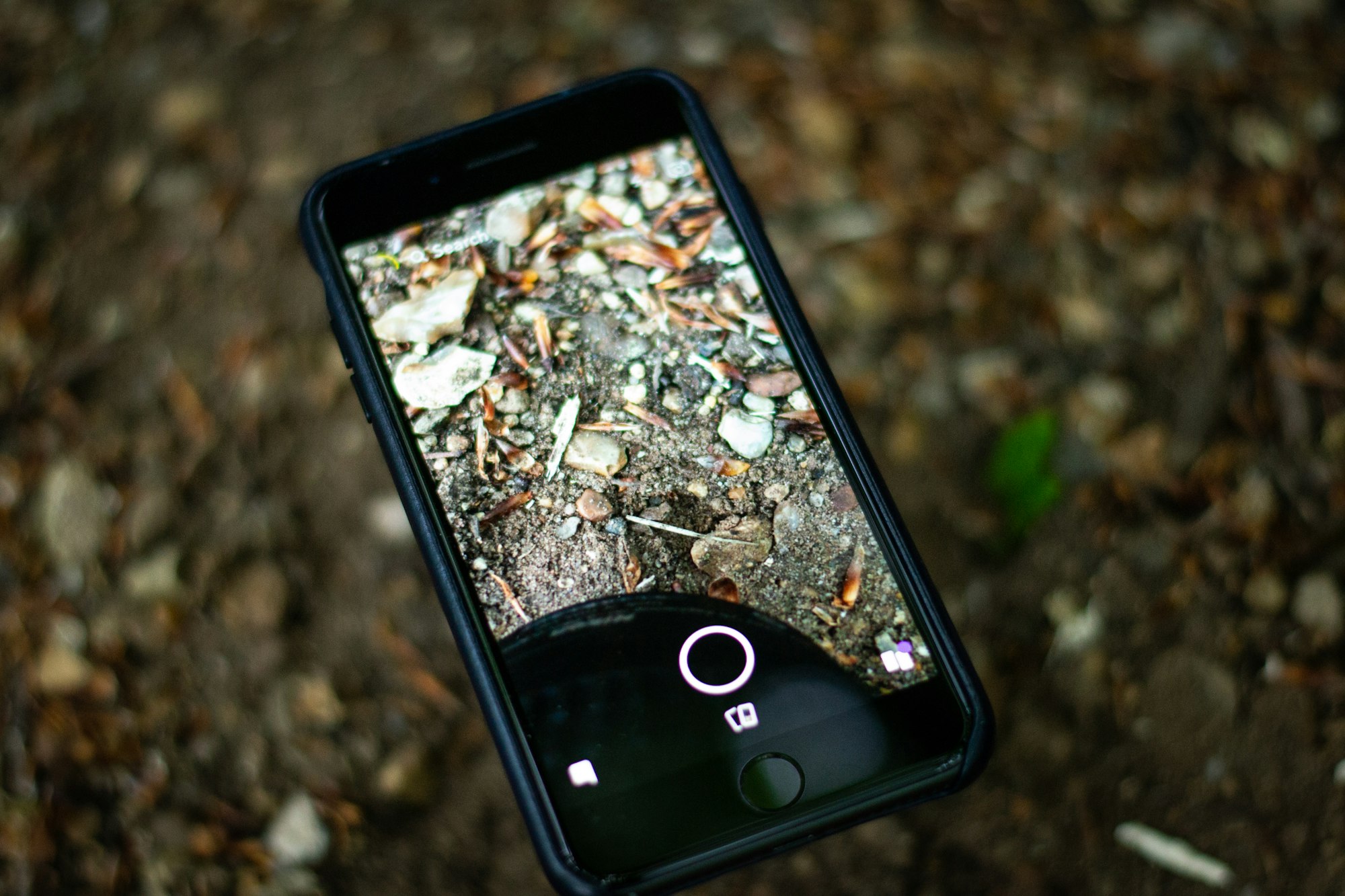 iPhone taking pictures of leaves - Making mediation app for iOS