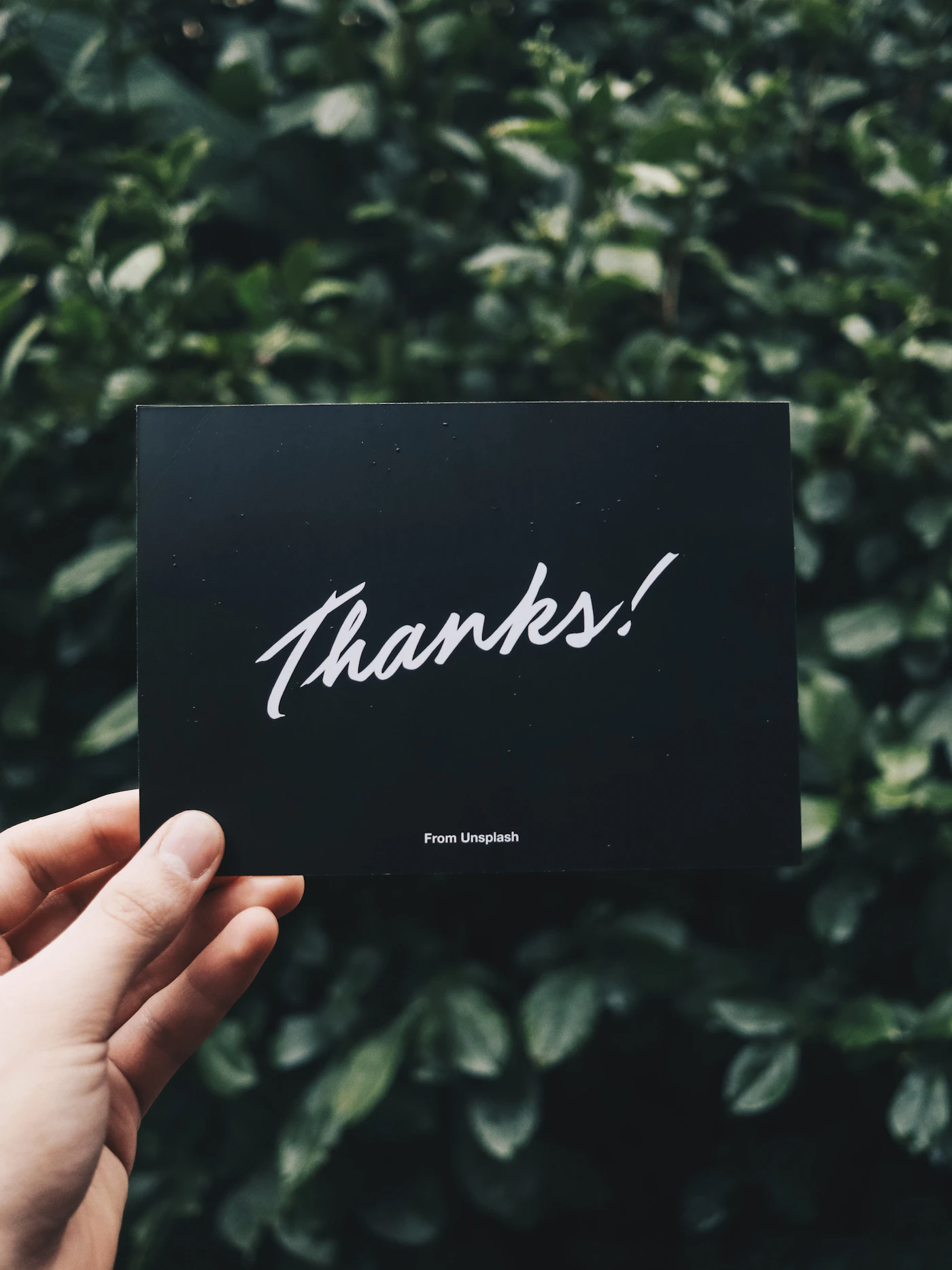 How to craft wedding thank you cards — A bride writing thank you cards at a desk with wedding photos.