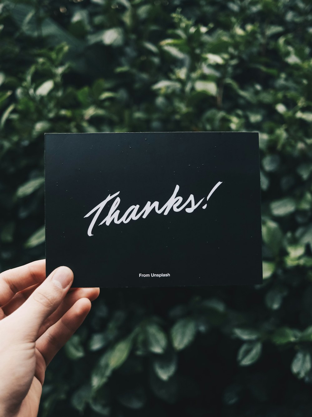 person holding Thanks card