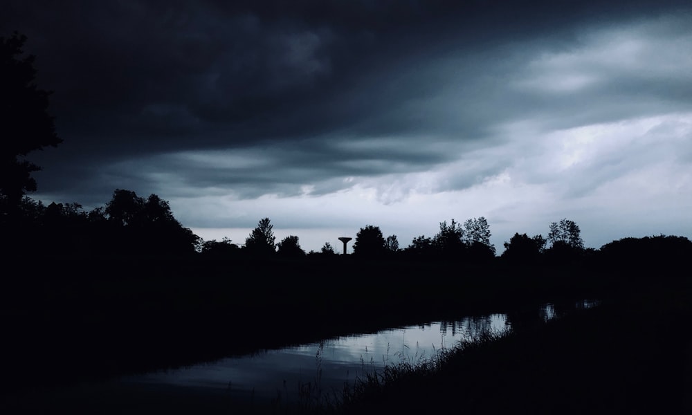 foto di paesaggio dello specchio d'acqua tra gli alberi