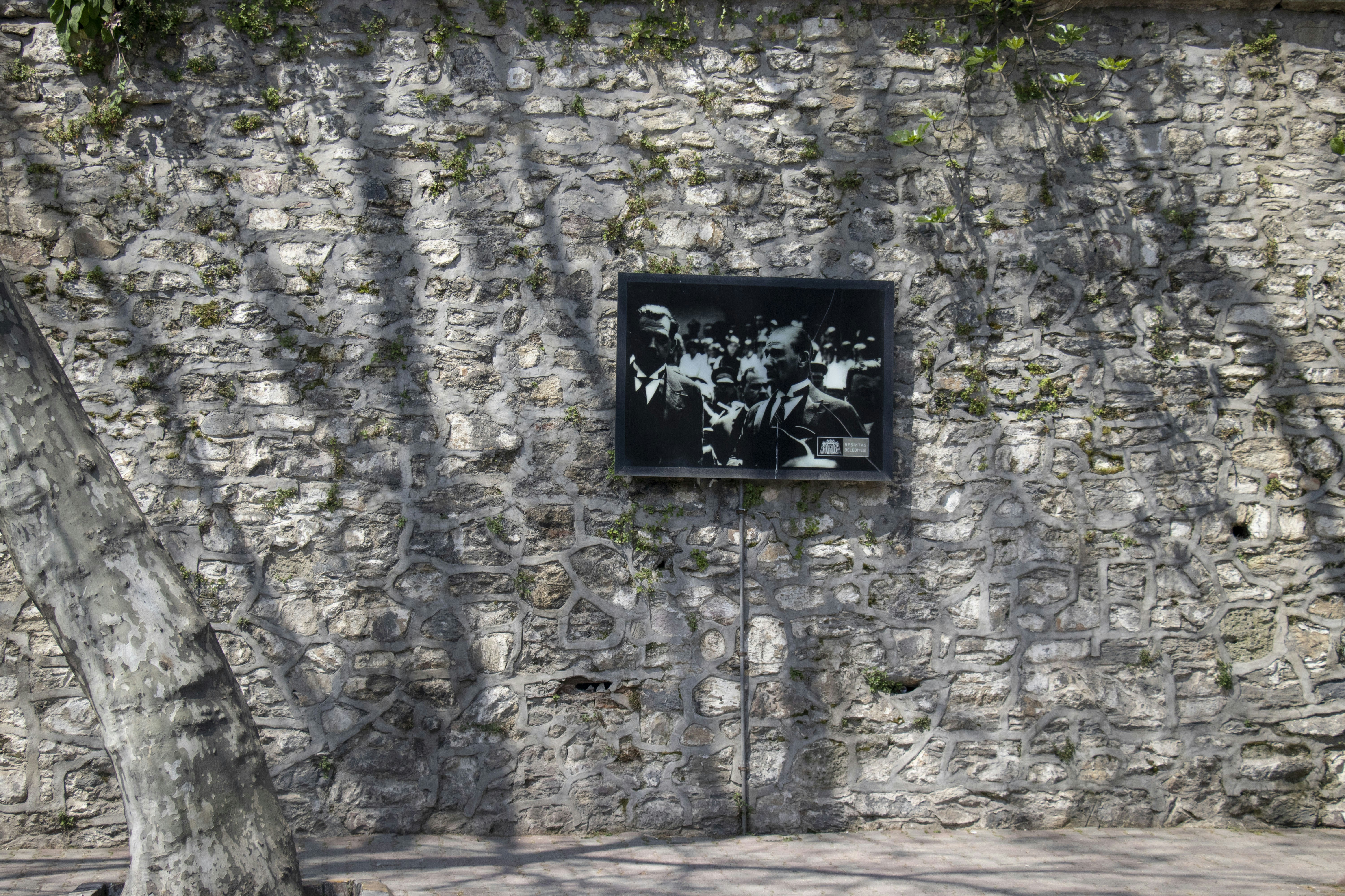 Stunning Digital Wallpaper Collection