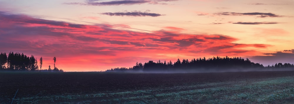 a field with trees in the background and a red sky