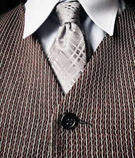 gray necktie and brown button-up vest