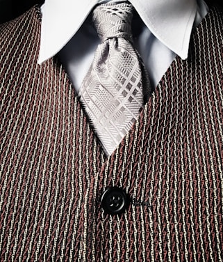 gray necktie and brown button-up vest