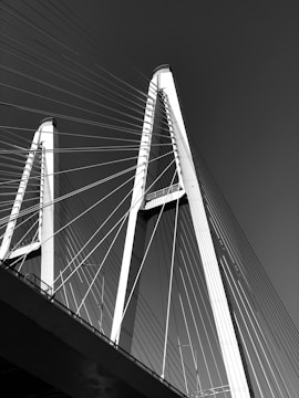 grayscale photo of bridge