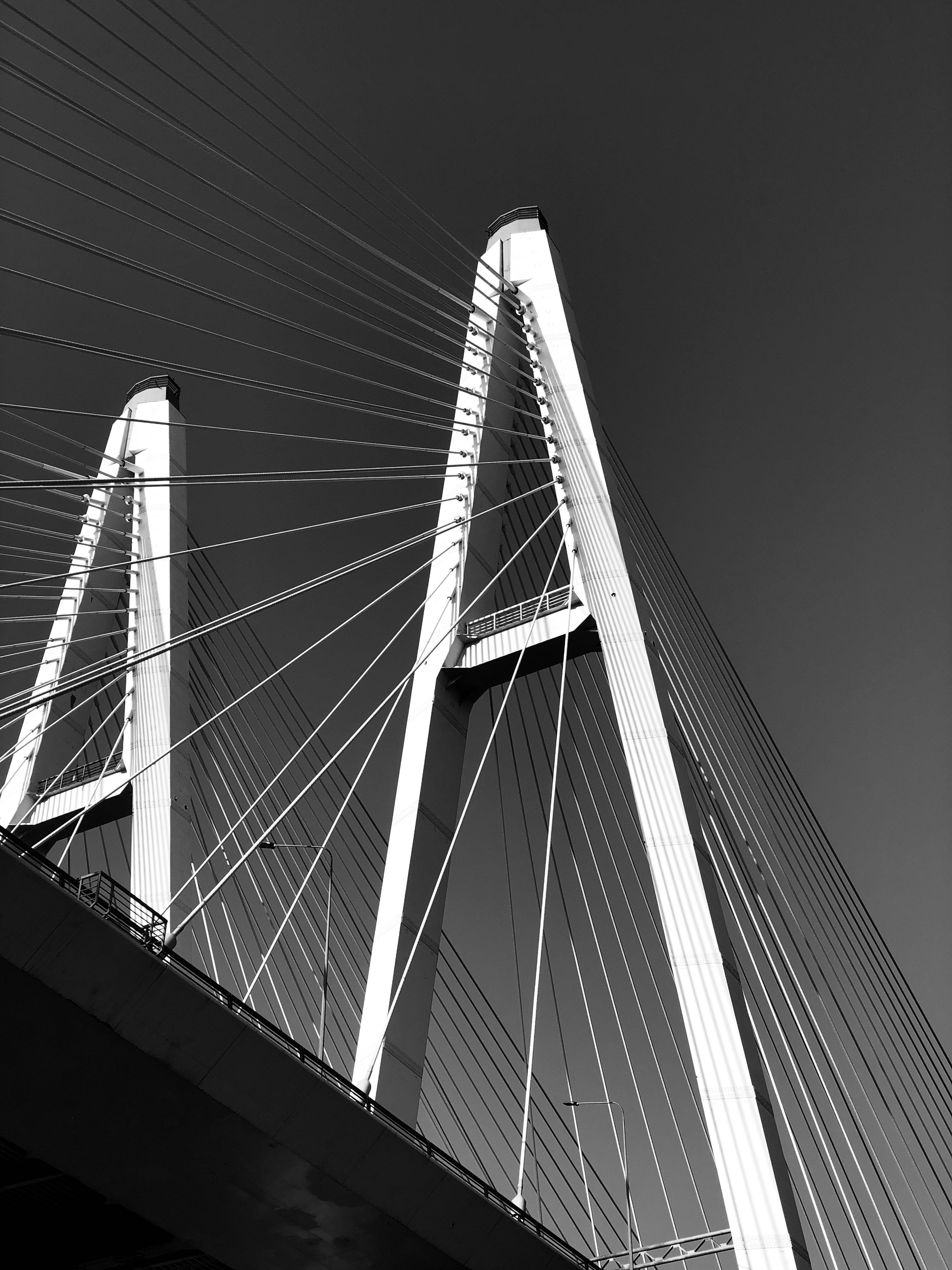grayscale photo of bridge