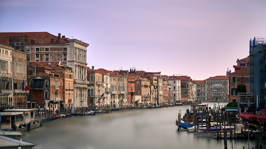 body of water surrounded by houses in Rialto Bridge Italy