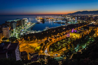 areal view of city during nighttime