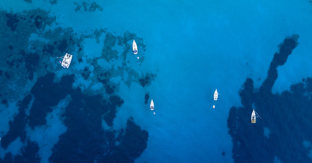 Underwater diving photo spot Formentera Portman