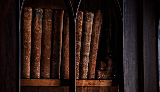 brown book on wooden rack