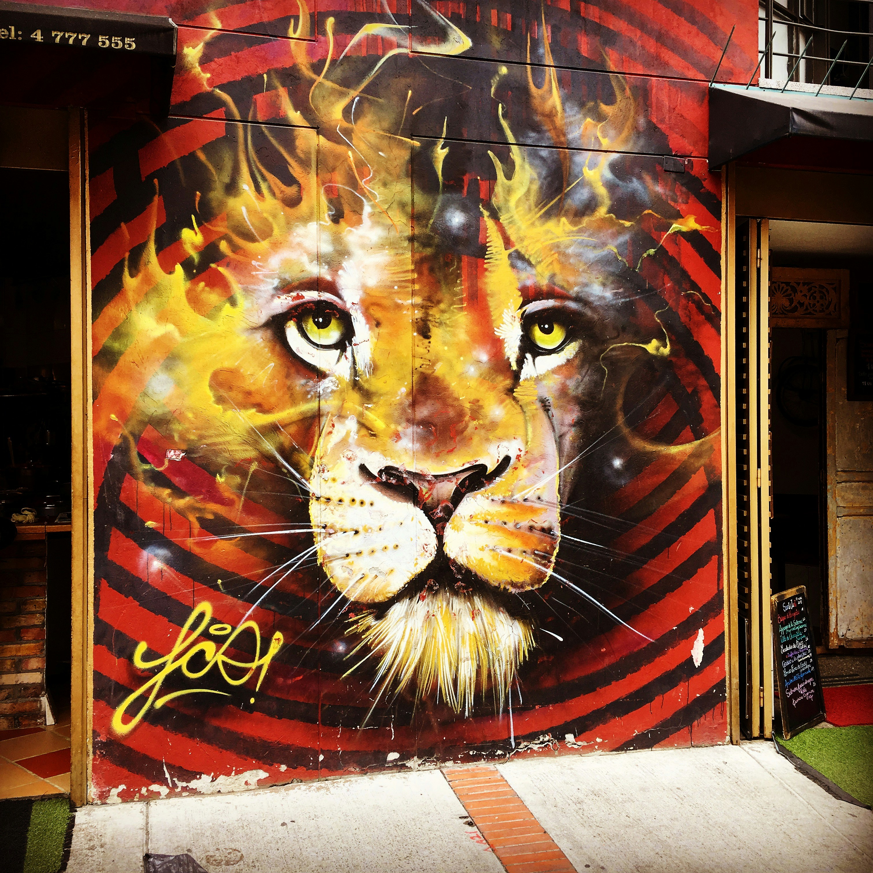 Your Junk Drawer Demonstrates Chaos Theory Better Than Any Textbook