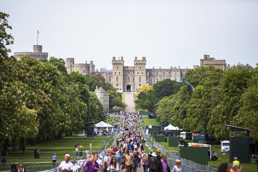 people at the park and castle at the distance during day