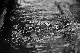 water ripple