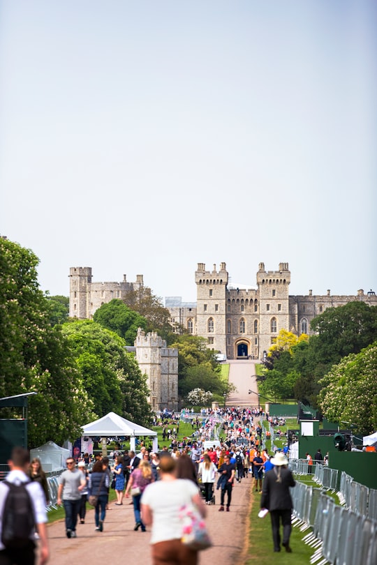 people walking in park in Windsor Castle United Kingdom