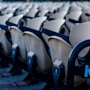 Fiat:  prestigiosa partnership per la “Partita Interreligiosa per la Pace”