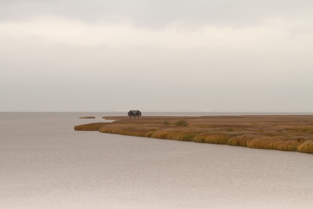 a large body of water with an elephant standing on top of it