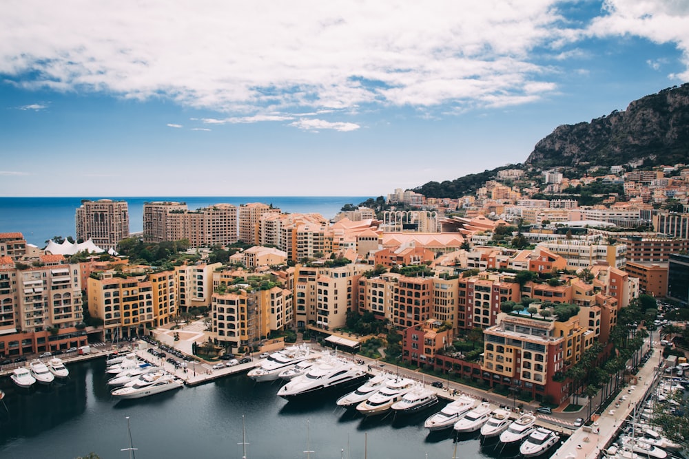 aerial photography of docks yachts near buildings