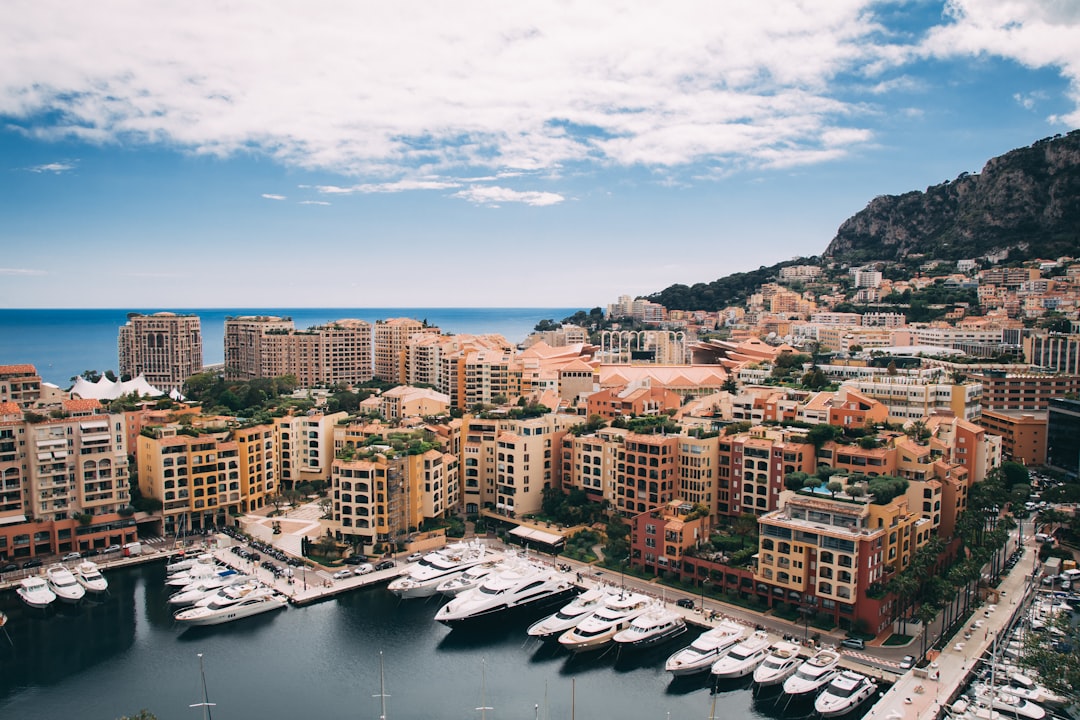 aerial photography of docks yachts near buildings,