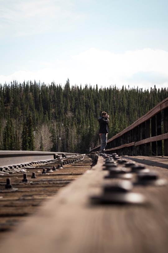 selective focus photography of person standing on train railway in Denali National Park and Preserve United States