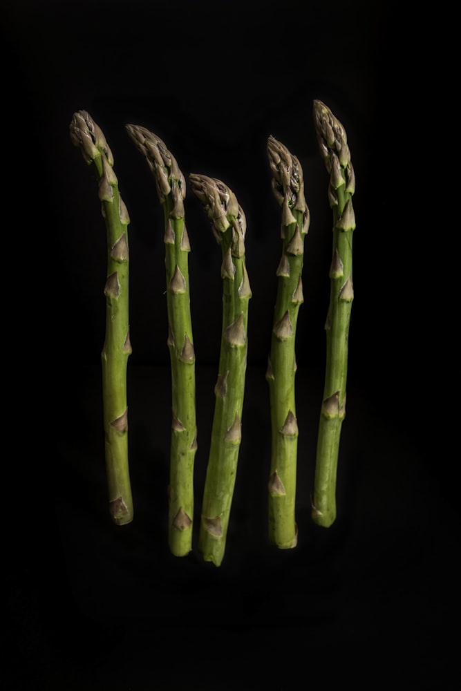 Asparagus photographed with a home made black box studio. from unsplash}