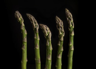 six green-and-brown asparagus with black background