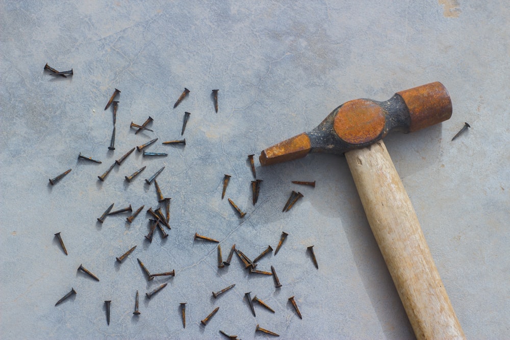 flat-lay photograph of hammer and nails