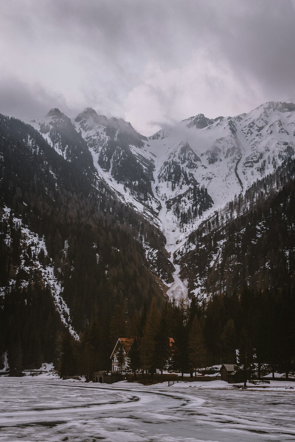 montanha coberta de neve e árvores