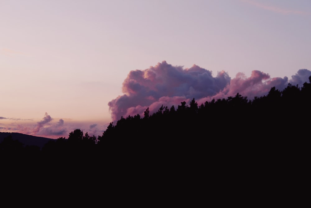 time lapse photography of white clouds over trees