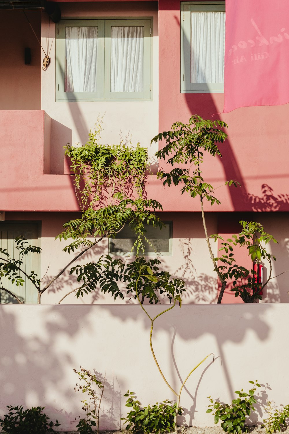 a pink building with a tree in front of it