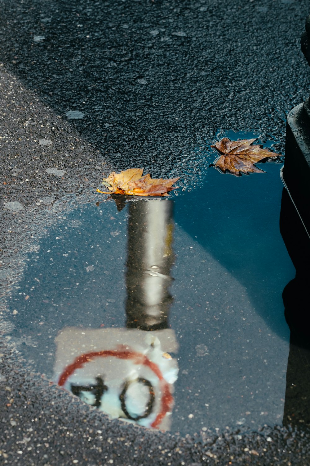 reflection photography of street signage