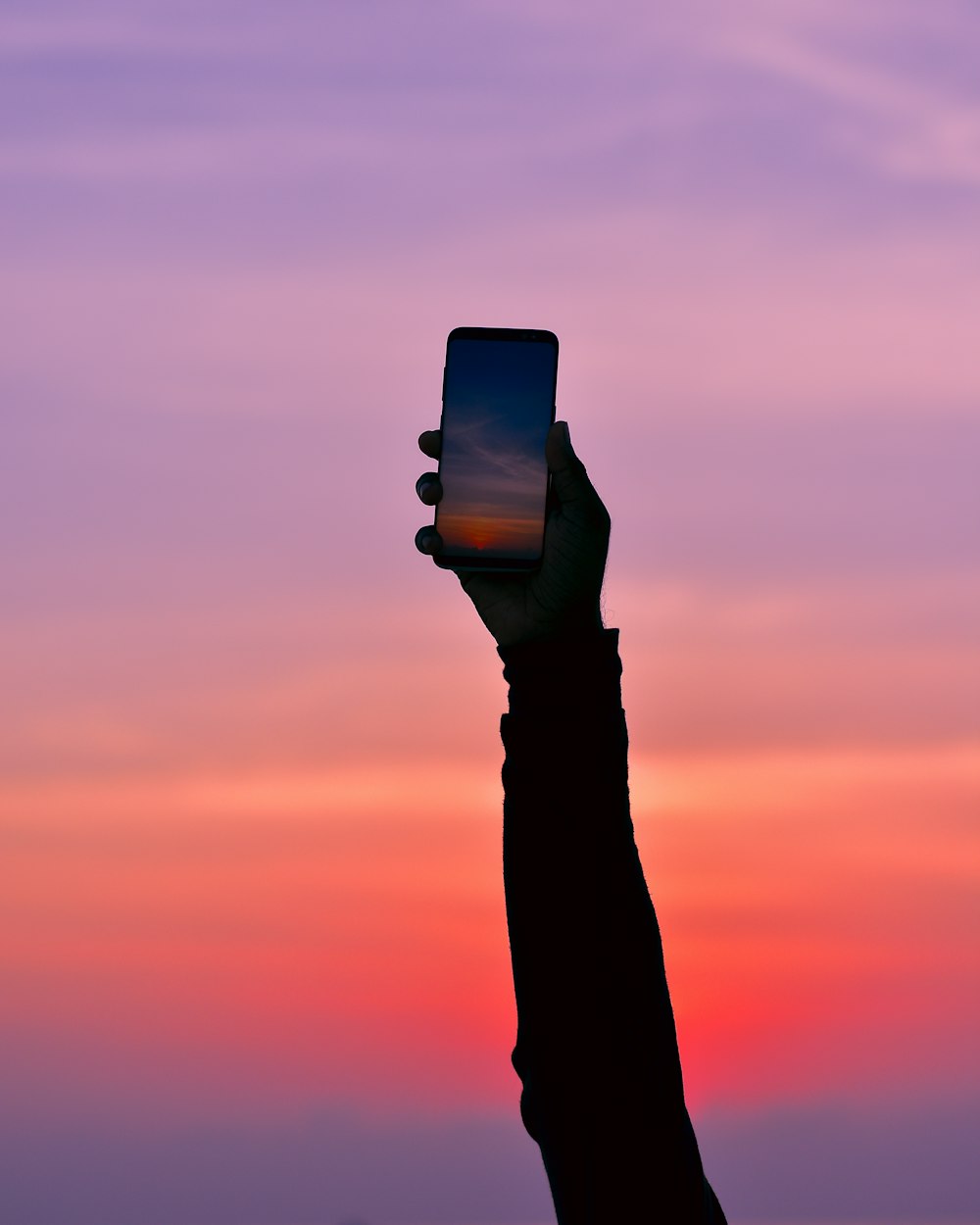 silhouette of person holding smartphone