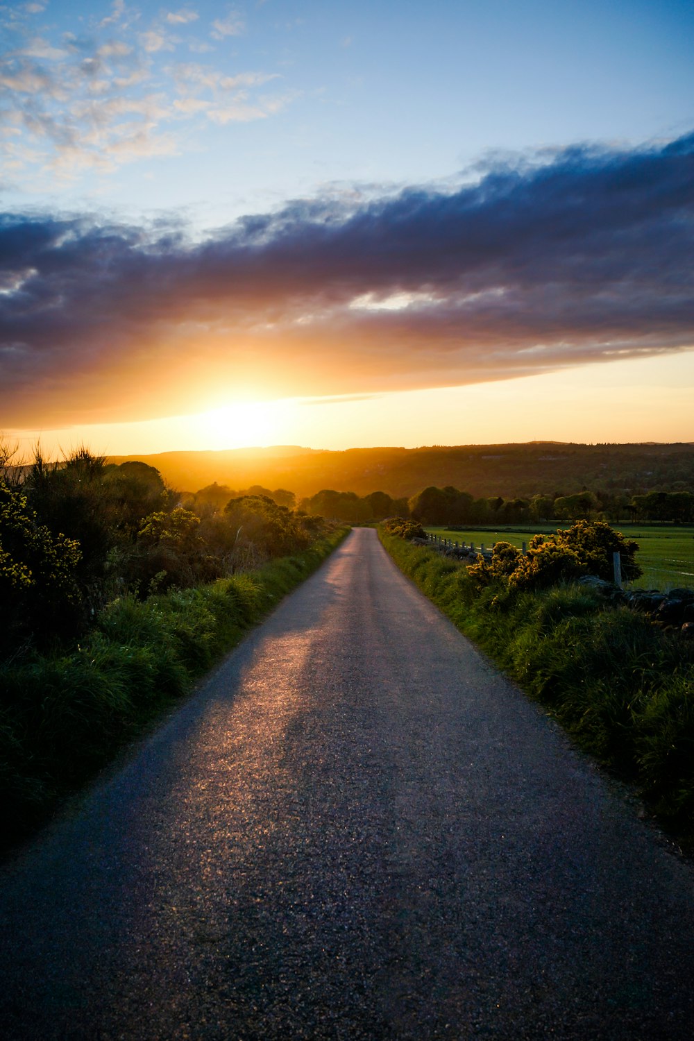 gray concrete straight pavement road during golden hour