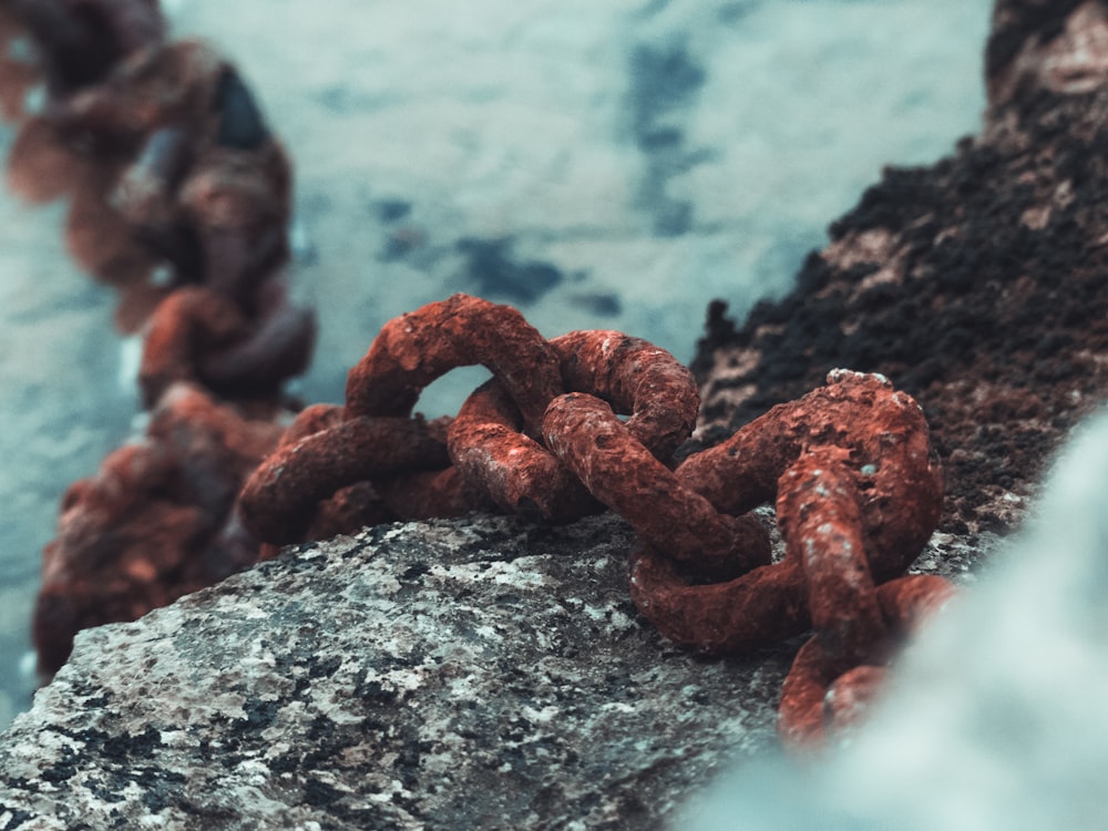 brown steel chain on gray soil